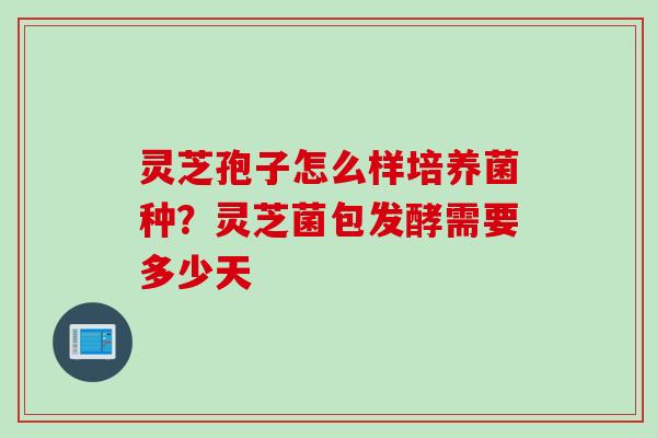 灵芝孢子怎么样培养菌种？灵芝菌包发酵需要多少天