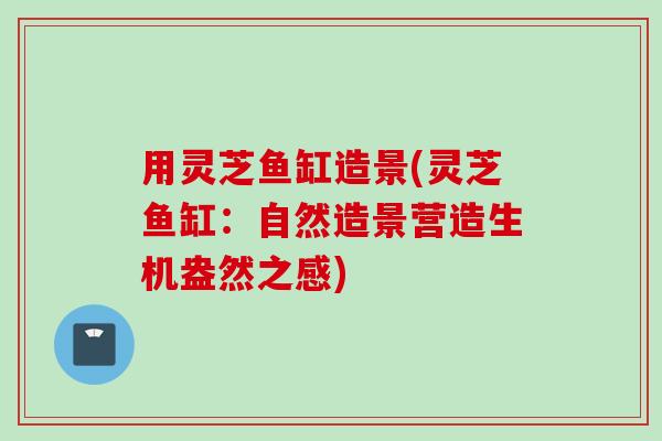 用灵芝鱼缸造景(灵芝鱼缸：自然造景营造生机盎然之感)