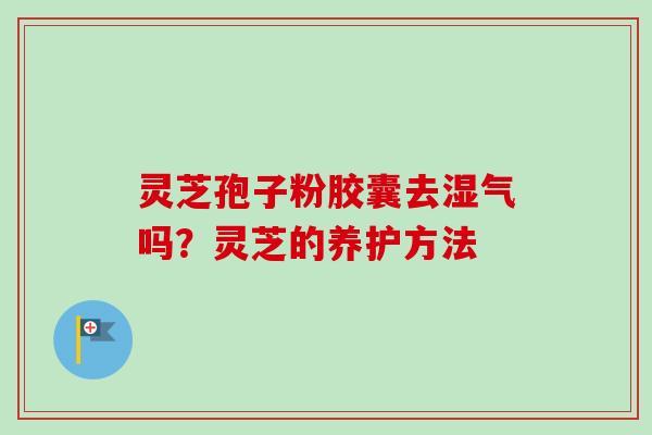 灵芝孢子粉胶囊去湿气吗?灵芝的养护方法 灵芝孢子粉胶囊去湿气吗?灵芝的养护方法