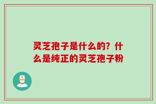 灵芝孢子是什么的？什么是纯正的灵芝孢子粉