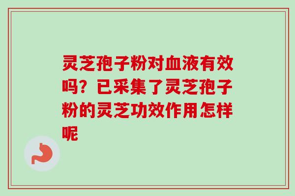 灵芝孢子粉对液有效吗?已采集了灵芝孢子粉的灵芝功效作用怎样呢 灵芝孢子粉对液有效吗?已采集了灵芝孢子粉的灵芝功效作用怎样呢
