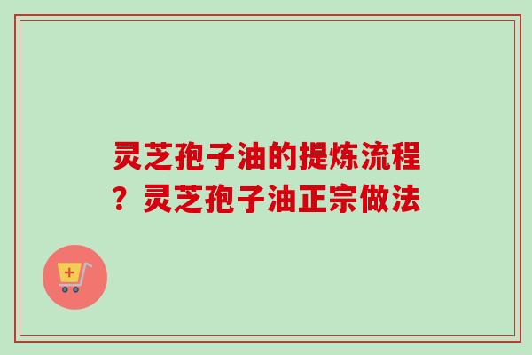 灵芝孢子油的提炼流程？灵芝孢子油正宗做法