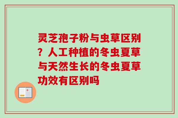 灵芝孢子粉与虫草区别？人工种植的冬虫夏草与天然生长的冬虫夏草功效有区别吗