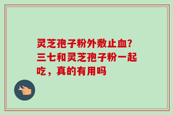 灵芝孢子粉外敷止血？三七和灵芝孢子粉一起吃，真的有用吗