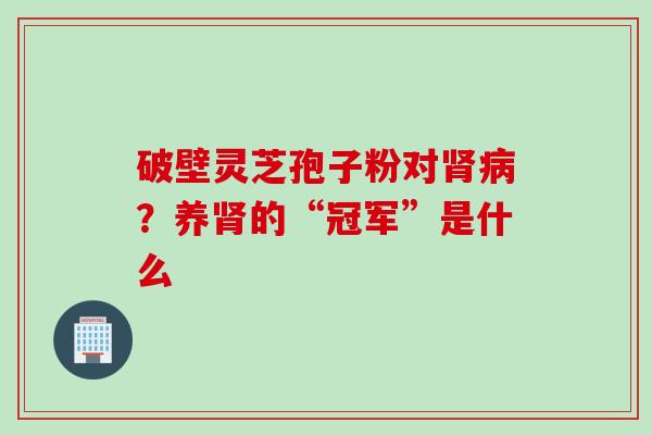 破壁灵芝孢子粉对肾病？养肾的“冠军”是什么