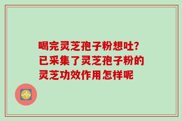 喝完灵芝孢子粉想吐？已采集了灵芝孢子粉的灵芝功效作用怎样呢