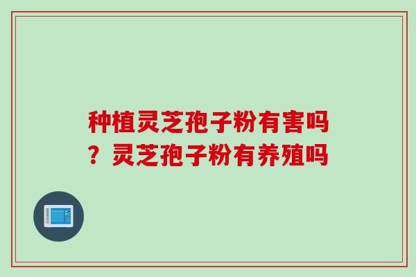 种植灵芝孢子粉有害吗？灵芝孢子粉有养殖吗