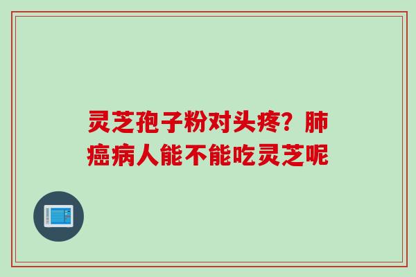 灵芝孢子粉对头疼?人能不能吃灵芝呢 灵芝孢子粉对头疼?人能不能吃灵芝呢