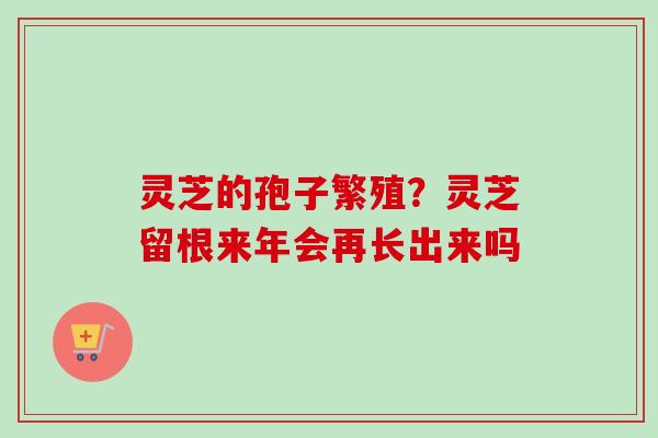 灵芝的孢子繁殖？灵芝留根来年会再长出来吗