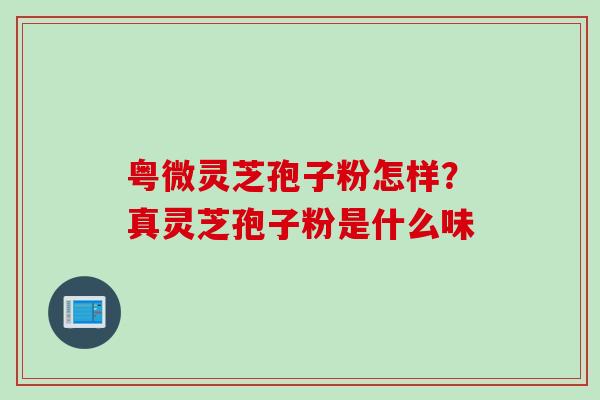 粤微灵芝孢子粉怎样?真灵芝孢子粉是什么味 粤微灵芝孢子粉怎样?真灵芝孢子粉是什么味