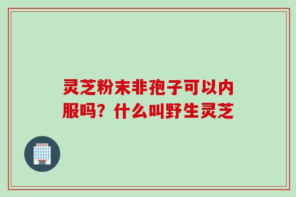 灵芝粉末非孢子可以内服吗？什么叫野生灵芝