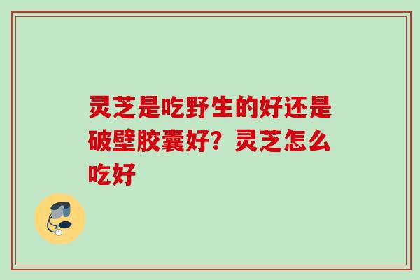 灵芝是吃野生的好还是破壁胶囊好？灵芝怎么吃好