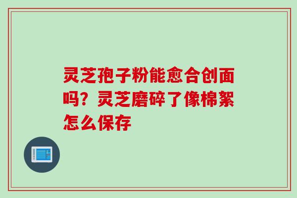 灵芝孢子粉能愈合创面吗？灵芝磨碎了像棉絮怎么保存