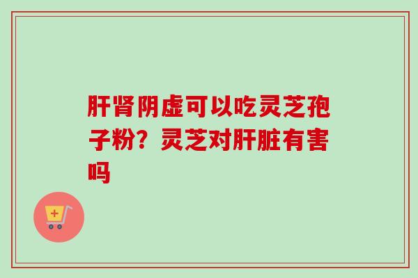 肝肾阴虚可以吃灵芝孢子粉？灵芝对肝脏有害吗