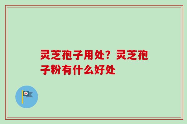 灵芝孢子用处？灵芝孢子粉有什么好处