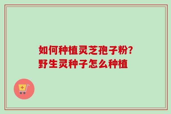 如何种植灵芝孢子粉?野生灵种子怎么种植 如何种植灵芝孢子粉?野生灵种子怎么种植