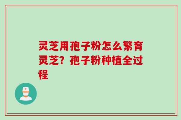 灵芝用孢子粉怎么繁育灵芝？孢子粉种植全过程