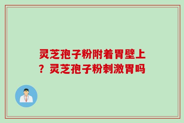 灵芝孢子粉附着胃壁上？灵芝孢子粉刺激胃吗