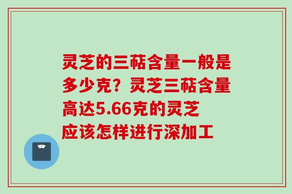 灵芝的三萜含量一般是多少克？灵芝三萜含量高达5.66克的灵芝应该怎样进行深加工