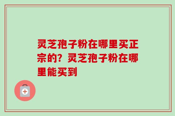灵芝孢子粉在哪里买正宗的？灵芝孢子粉在哪里能买到