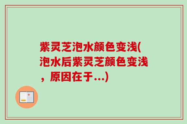 紫灵芝泡水颜色变浅(泡水后紫灵芝颜色变浅，原因在于...)