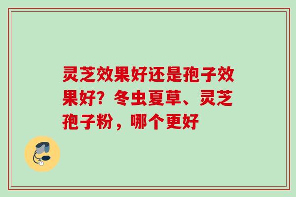 灵芝效果好还是孢子效果好？冬虫夏草、灵芝孢子粉，哪个更好