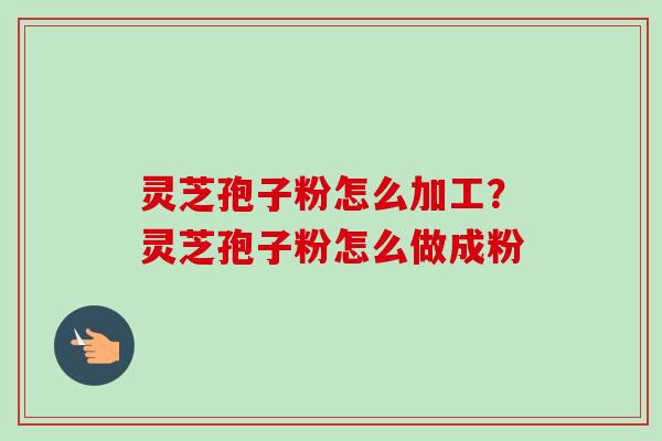 灵芝孢子粉怎么加工？灵芝孢子粉怎么做成粉