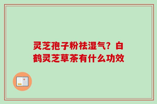 灵芝孢子粉祛湿气？白鹤灵芝草茶有什么功效