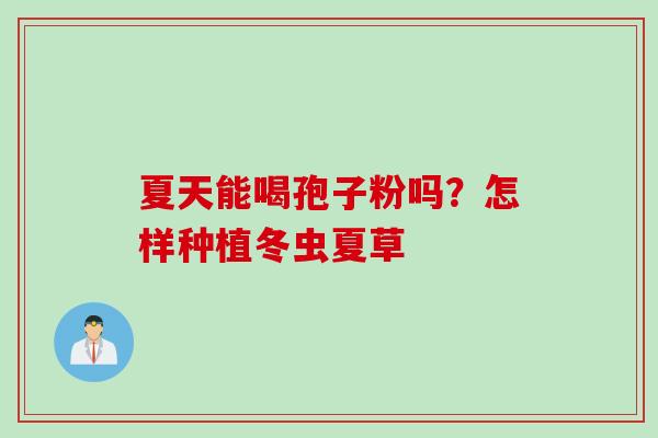 夏天能喝孢子粉吗？怎样种植冬虫夏草