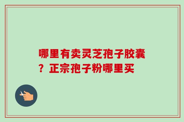 哪里有卖灵芝孢子胶囊？正宗孢子粉哪里买