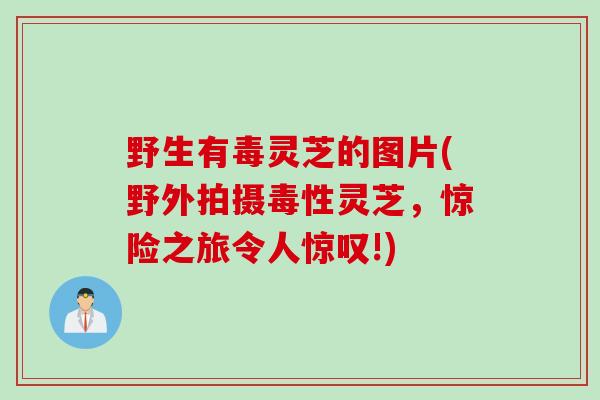 野生有毒灵芝的图片(野外拍摄毒性灵芝，惊险之旅令人惊叹!)