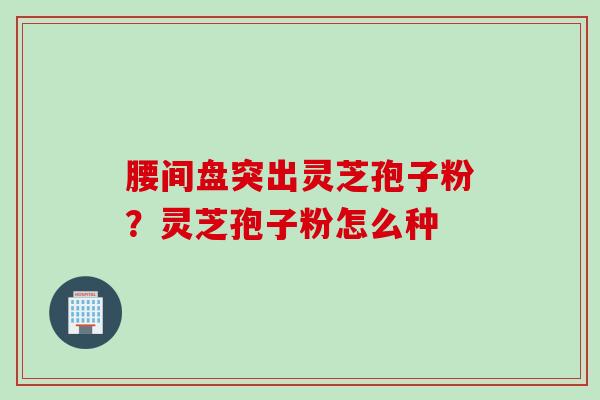 腰间盘突出灵芝孢子粉？灵芝孢子粉怎么种