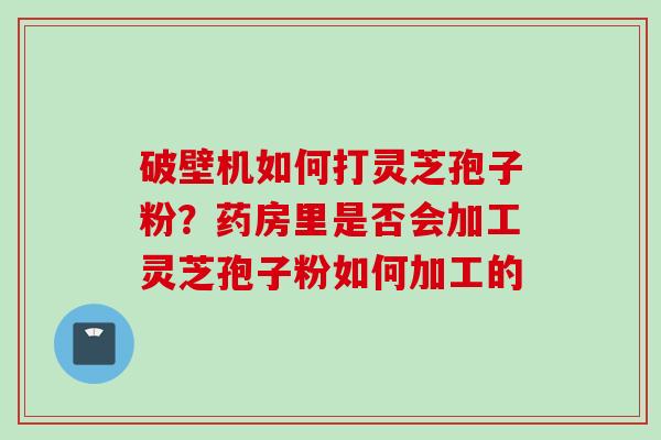 破壁机如何打灵芝孢子粉？药房里是否会加工灵芝孢子粉如何加工的