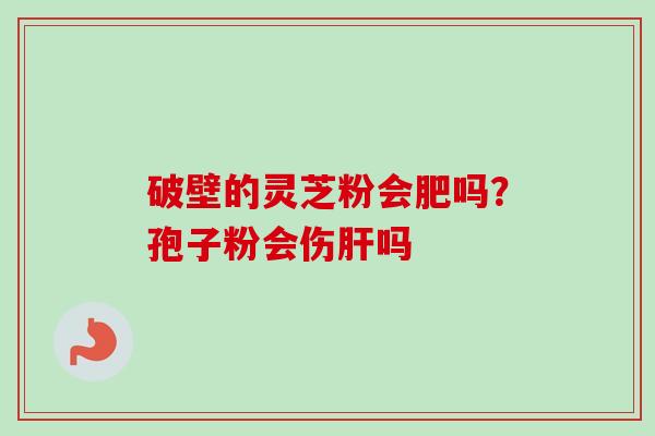 破壁的灵芝粉会肥吗？孢子粉会伤肝吗