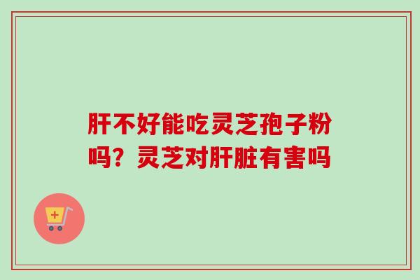肝不好能吃灵芝孢子粉吗？灵芝对肝脏有害吗