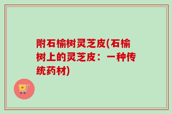 附石榆树灵芝皮(石榆树上的灵芝皮：一种传统药材)