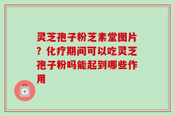 灵芝孢子粉芝素堂图片？化疗期间可以吃灵芝孢子粉吗能起到哪些作用