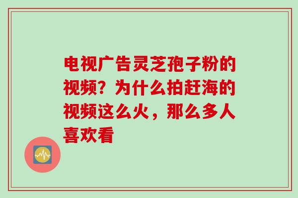 电视广告灵芝孢子粉的视频？为什么拍赶海的视频这么火，那么多人喜欢看