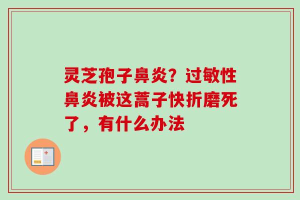 灵芝孢子鼻炎？过敏性鼻炎被这蒿子快折磨死了，有什么办法