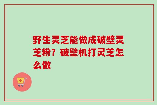野生灵芝能做成破壁灵芝粉？破壁机打灵芝怎么做
