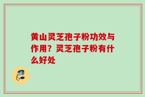 黄山灵芝孢子粉功效与作用？灵芝孢子粉有什么好处