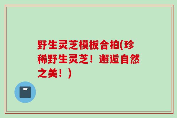 野生灵芝模板合拍(珍稀野生灵芝！邂逅自然之美！)