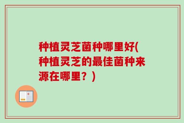 种植灵芝菌种哪里好(种植灵芝的最佳菌种来源在哪里？)