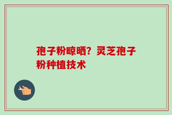 孢子粉晾晒？灵芝孢子粉种植技术