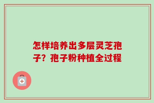 怎样培养出多层灵芝孢子？孢子粉种植全过程