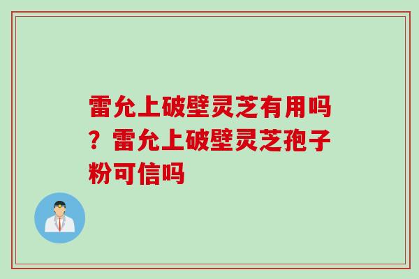 雷允上破壁灵芝有用吗？雷允上破壁灵芝孢子粉可信吗