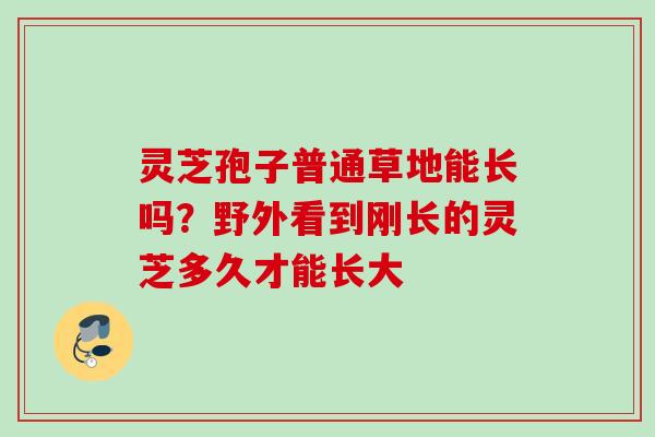 灵芝孢子普通草地能长吗？野外看到刚长的灵芝多久才能长大