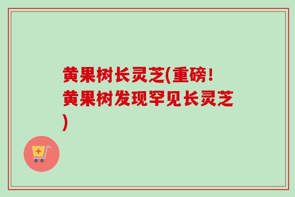 黄果树长灵芝(重磅！黄果树发现罕见长灵芝)
