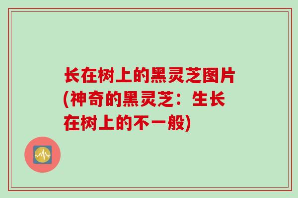 长在树上的黑灵芝图片(神奇的黑灵芝：生长在树上的不一般)