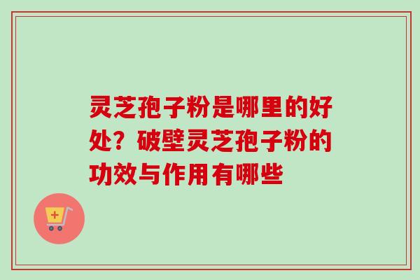 灵芝孢子粉是哪里的好处？破壁灵芝孢子粉的功效与作用有哪些